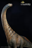 DINO DREAM 1:30 Scale Titanosaurus Model