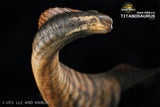 DINO DREAM 1:30 Scale Titanosaurus Model