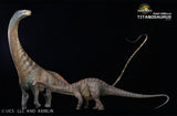 DINO DREAM 1:30 Scale Titanosaurus Model