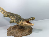 MuSee Studio 1/35 Scale Purussaurus Model