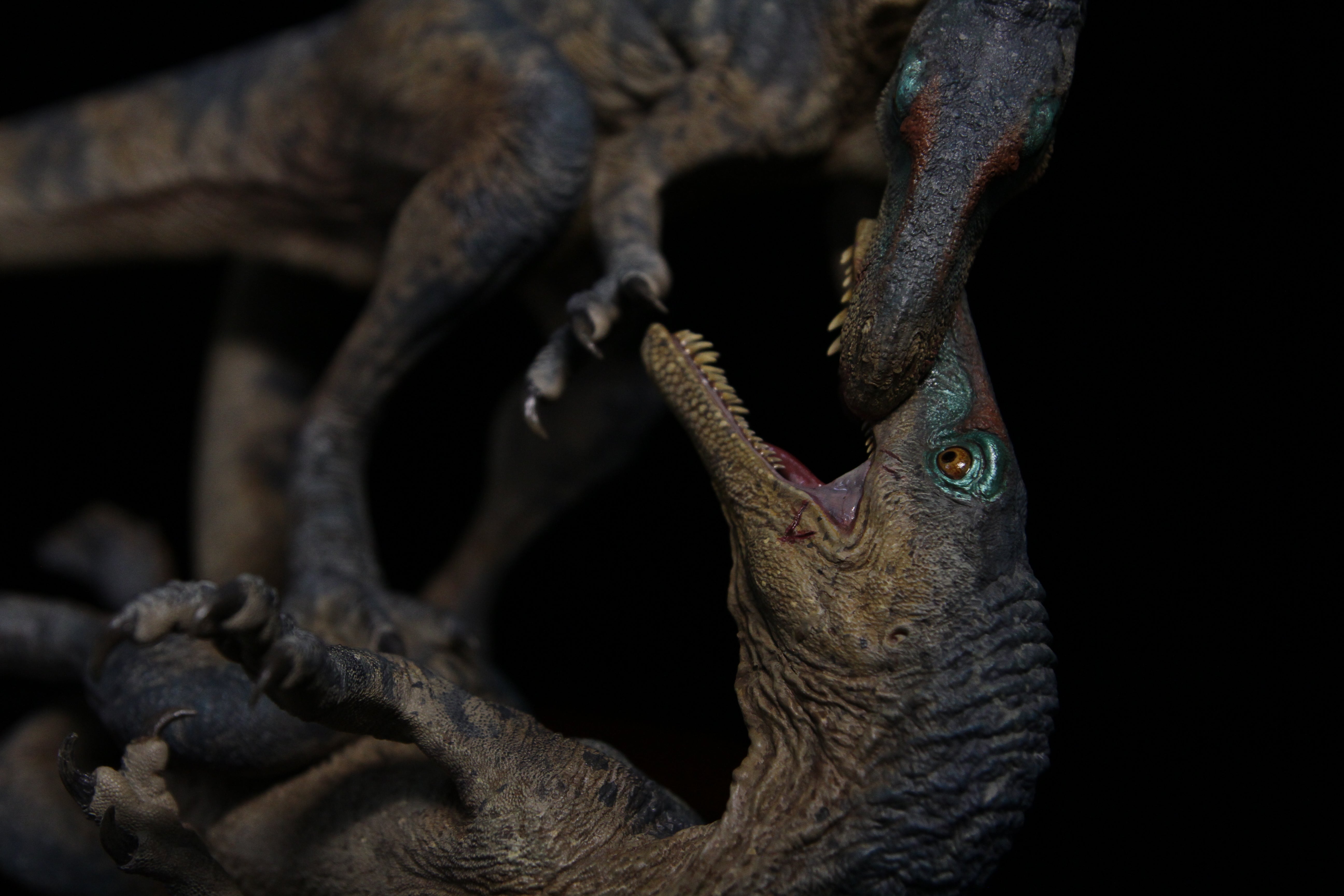 SHOWANNA 1/6 Scale Gnathovorax cabreirai Model
