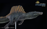 DINO DREAM 1:30 Scale Spinosaurus Swim Version Model