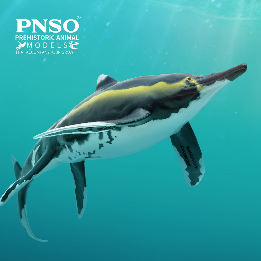 PNSO 90 Youran Guizhouichthyosaurus Model