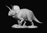 SHOWANNA 1/35 Scale Eotriceratops Model