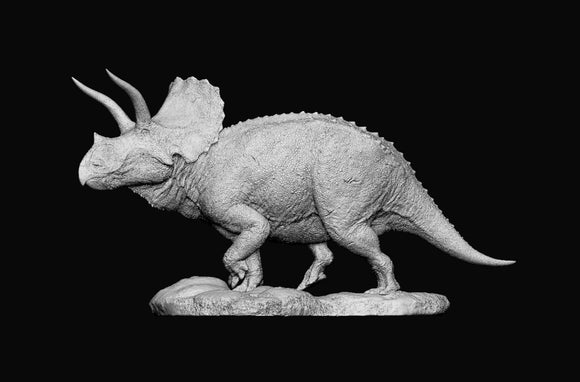 SHOWANNA 1/35 Scale Eotriceratops Model