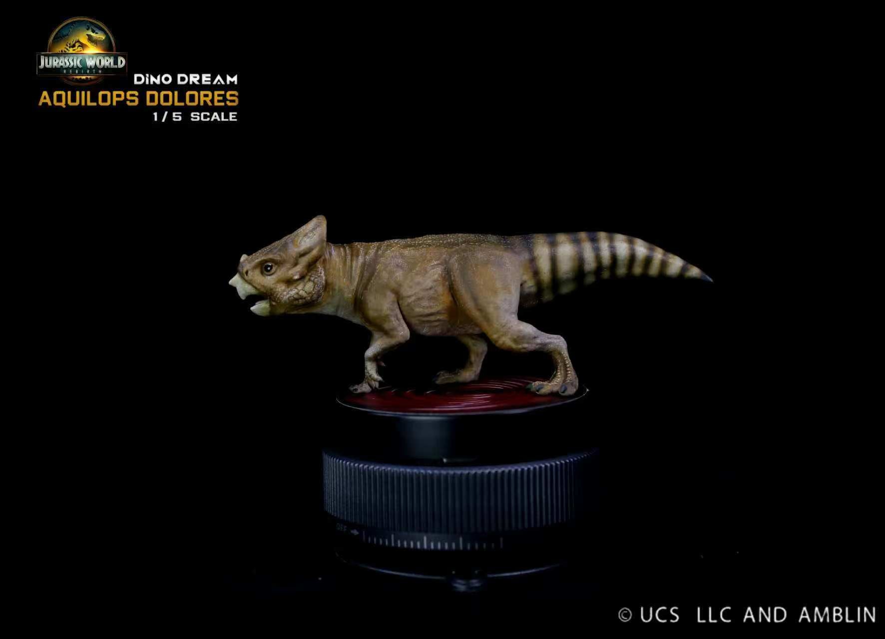 DINO DREAM 1:5 Scale Aquilops Dolores Model