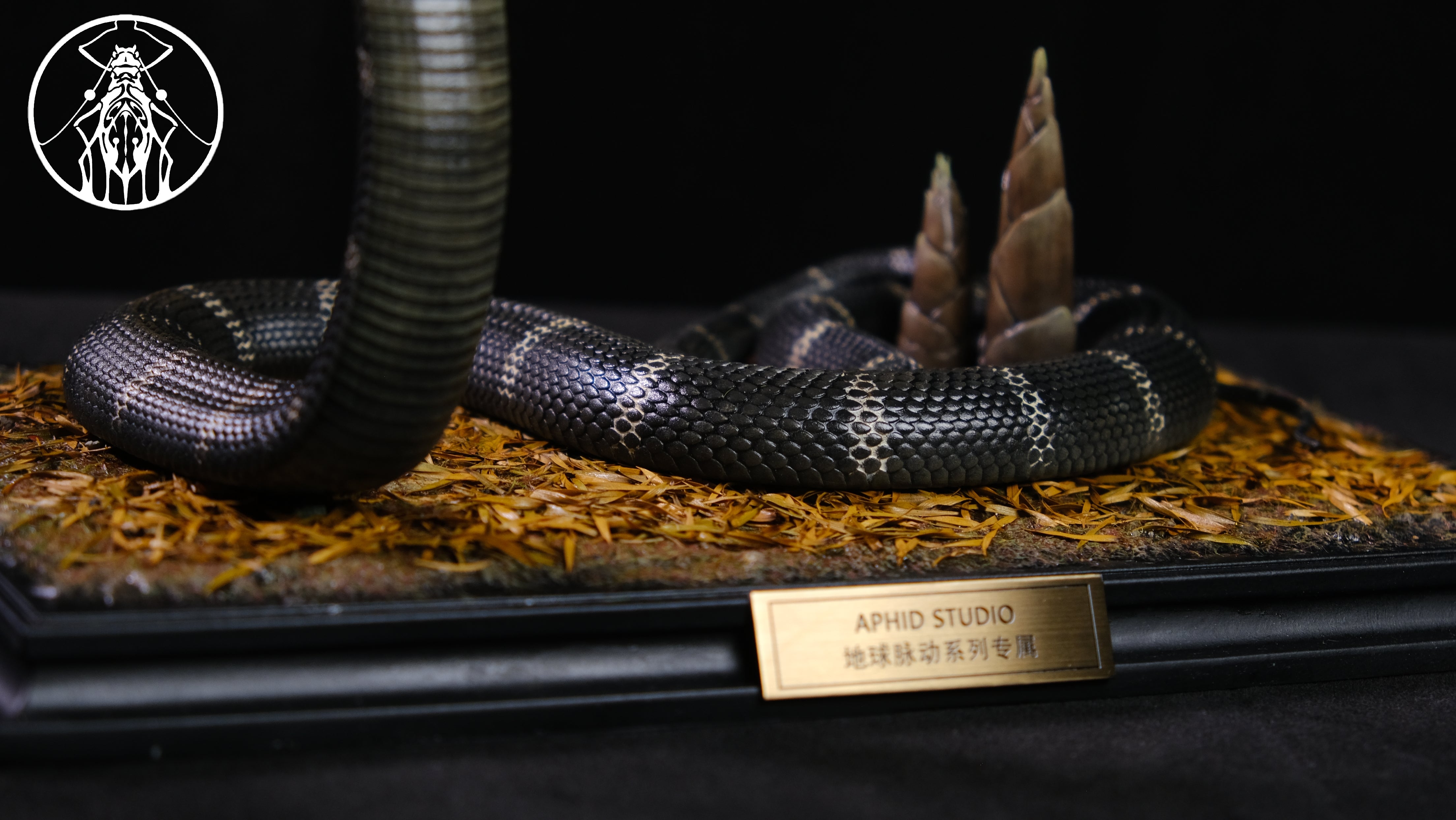 APHID STUDIO Northern King Cobra Model
