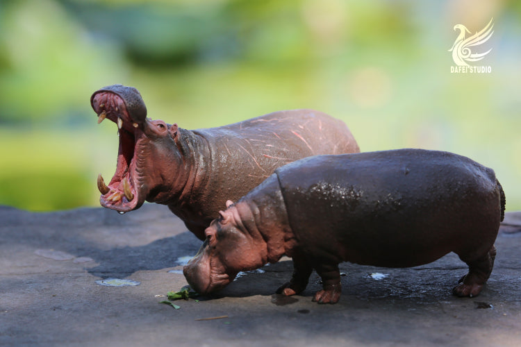 DAFEI Hippopotamus amphibius Model
