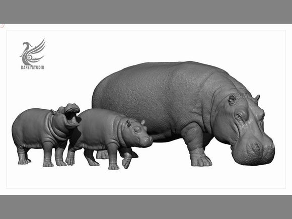 DAFEI Hippopotamus amphibius Model