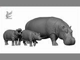 DAFEI Hippopotamus amphibius Model