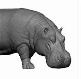 DAFEI Hippopotamus amphibius Model