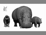 DAFEI Hippopotamus amphibius Model