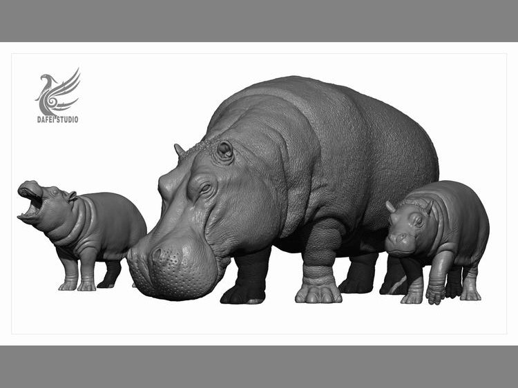 DAFEI Hippopotamus amphibius Model