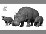 DAFEI Hippopotamus amphibius Model