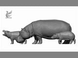 DAFEI Hippopotamus amphibius Model