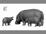 DAFEI Hippopotamus amphibius Model