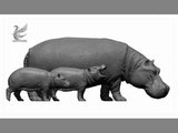 DAFEI Hippopotamus amphibius Model