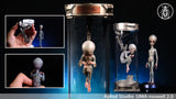 APHID STUDIO Roswell Extraterrestrial Being 2.0 Model