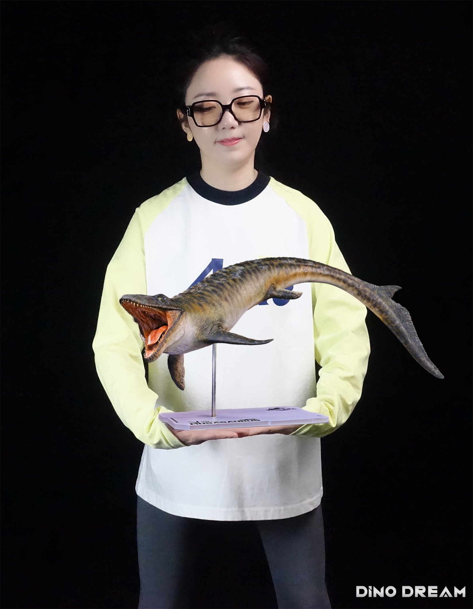 DINO DREAM 1:30 Scale Mosasaurus Model