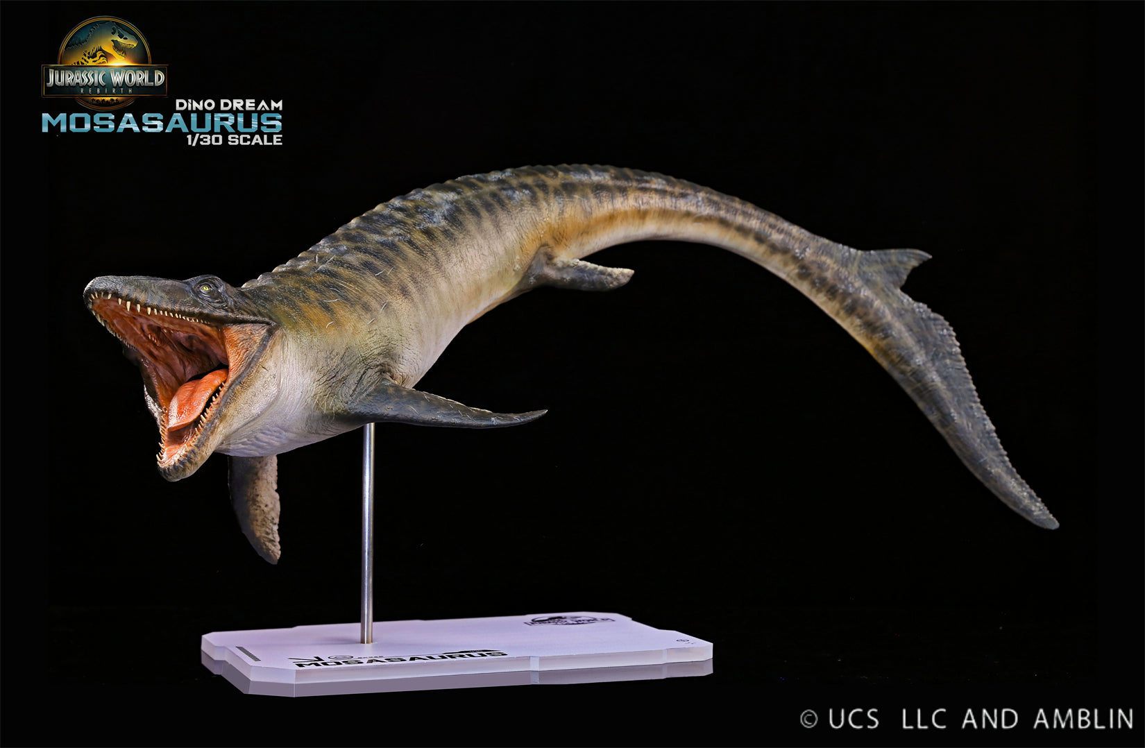 DINO DREAM 1:30 Scale Mosasaurus Model
