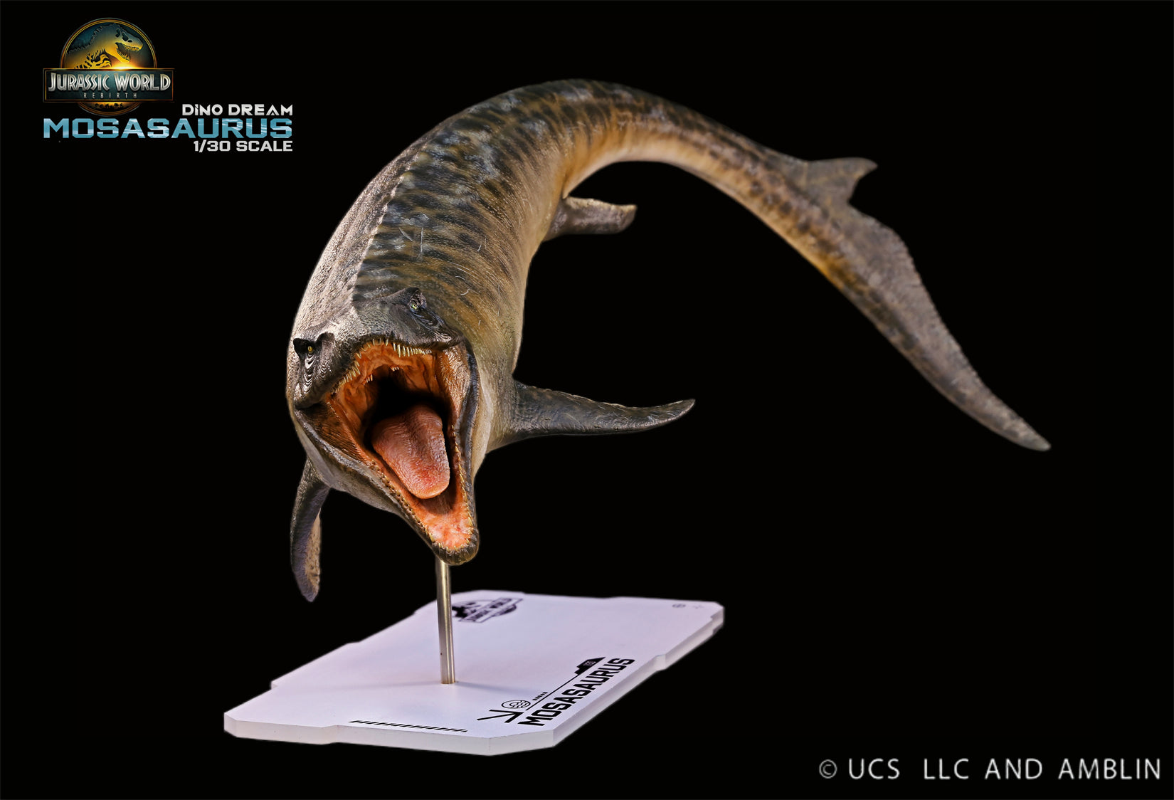DINO DREAM 1:30 Scale Mosasaurus Model