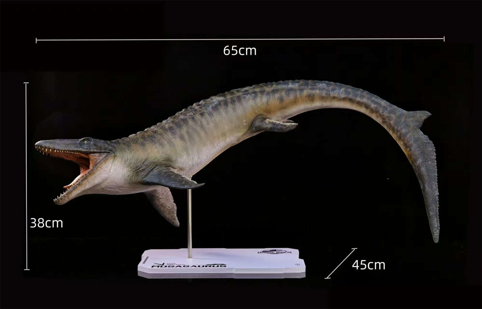 DINO DREAM 1:30 Scale Mosasaurus Model