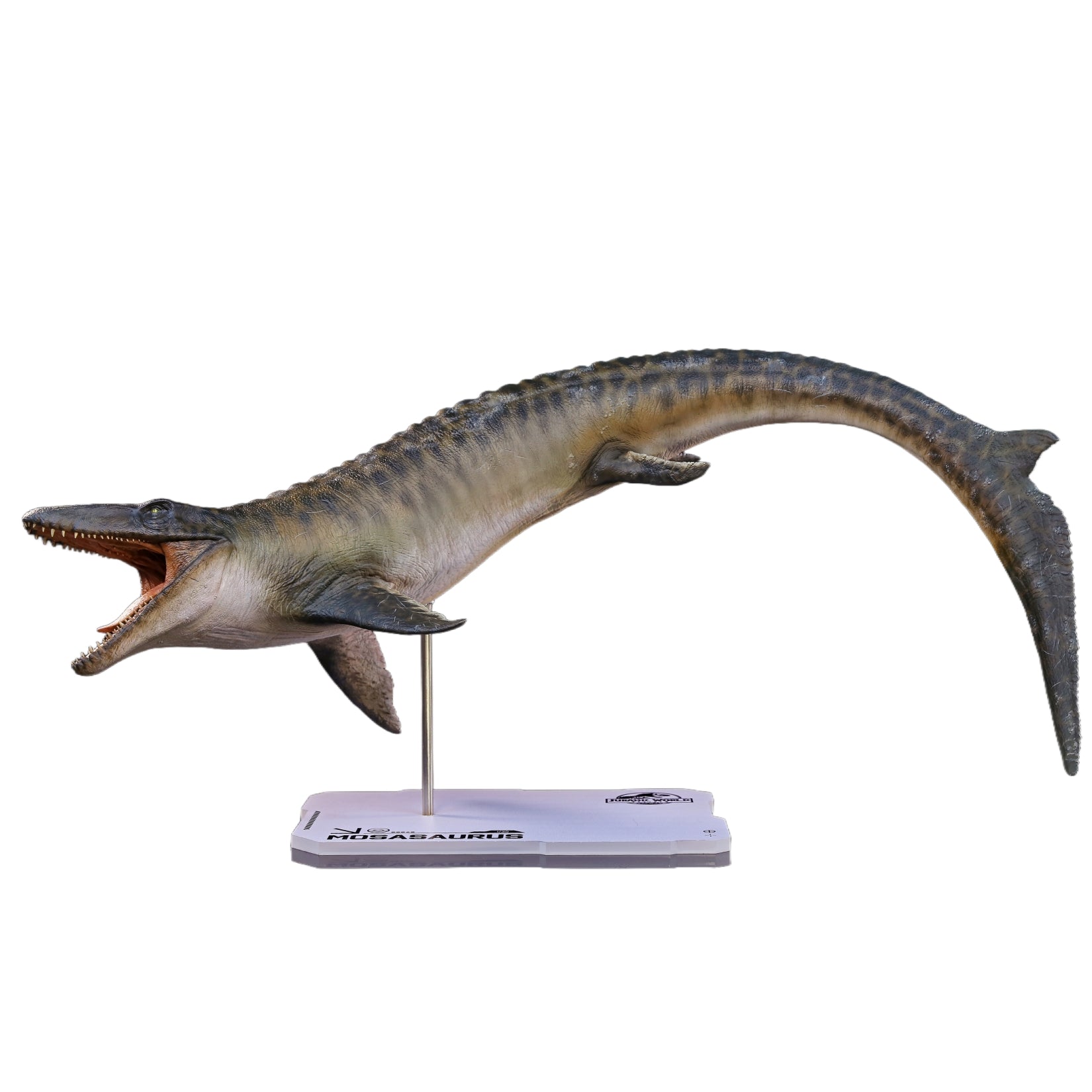 DINO DREAM 1:30 Scale Mosasaurus Model
