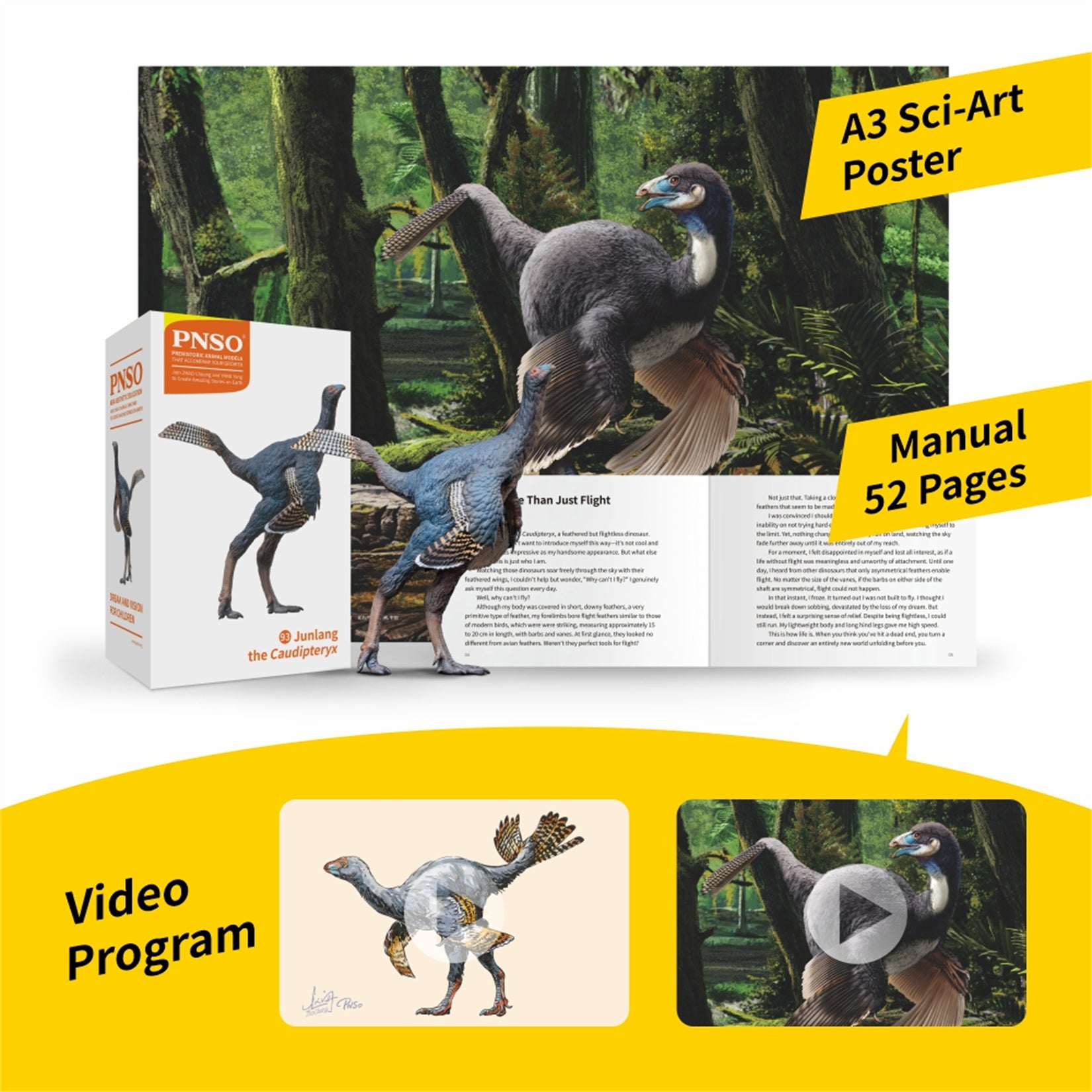 PNSO 93 Junlang Caudipteryx Model