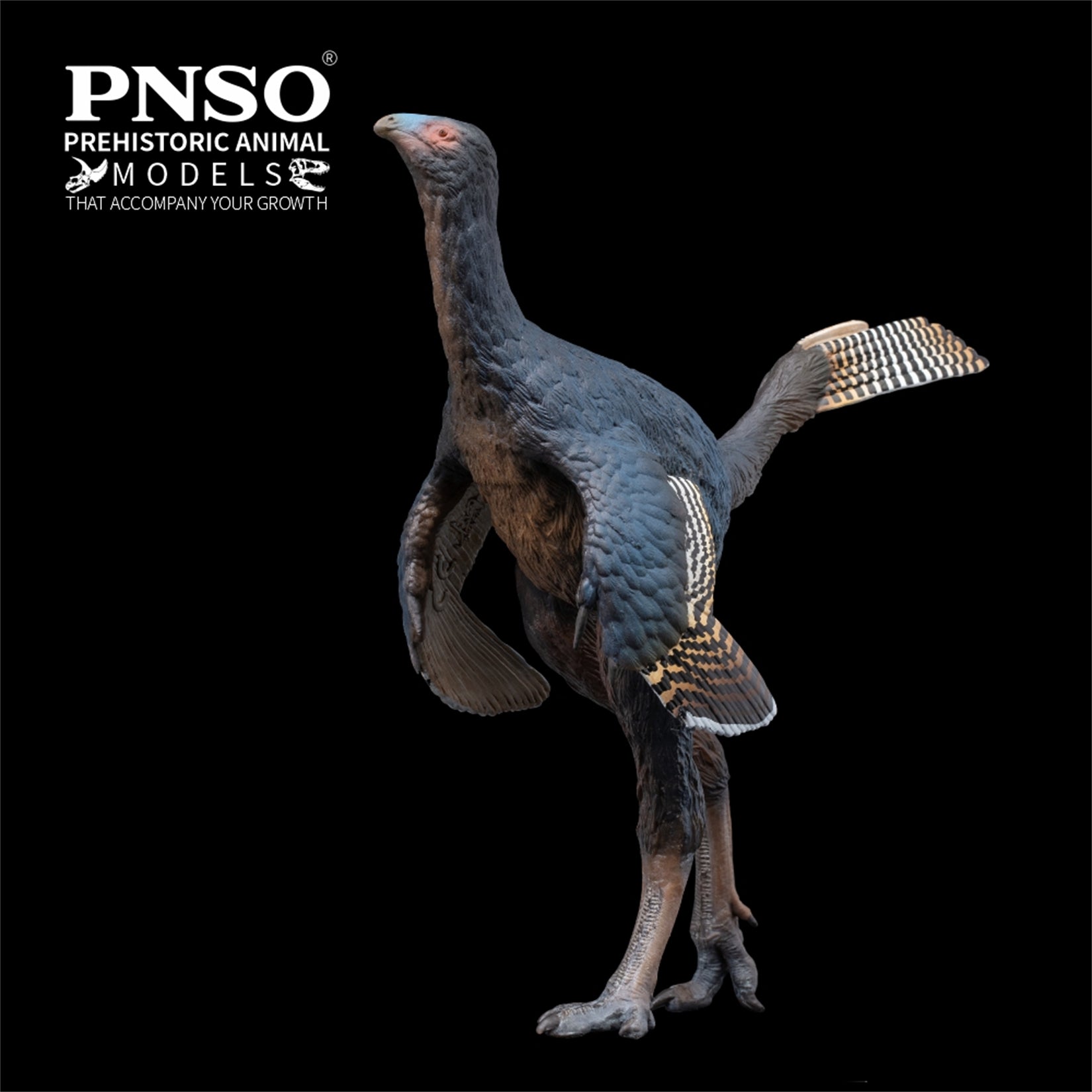 PNSO 93 Junlang Caudipteryx Model