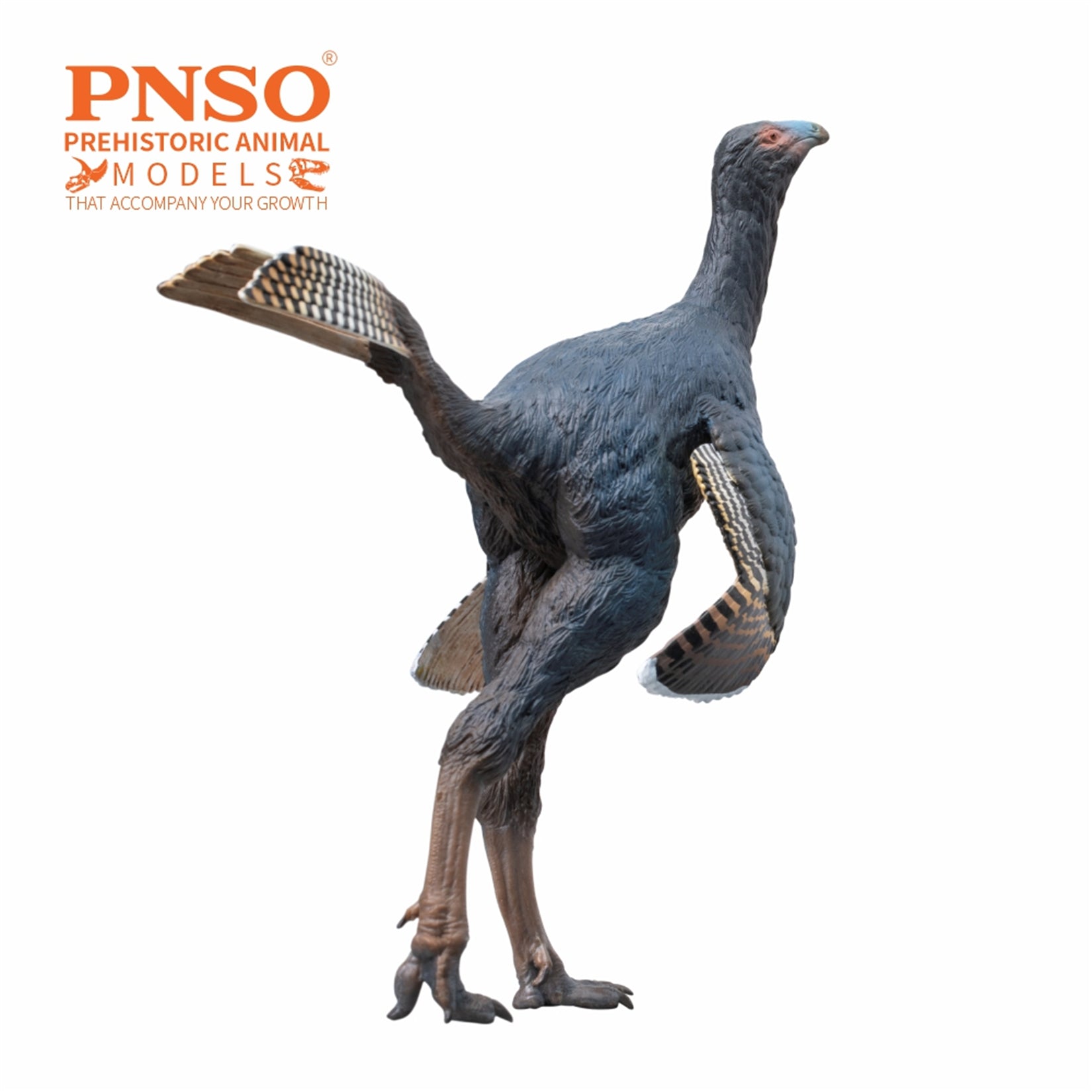PNSO 93 Junlang Caudipteryx Model