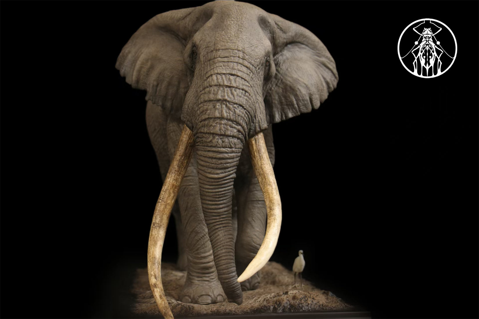 APHID STUDIO African Elephant Tim Model