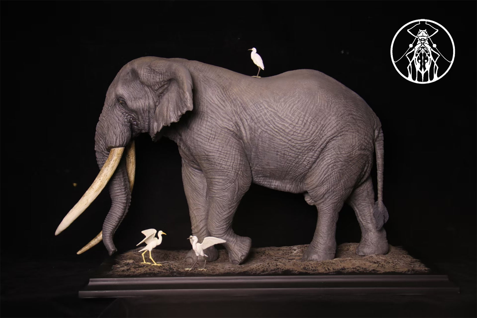 APHID STUDIO African Elephant Tim Model