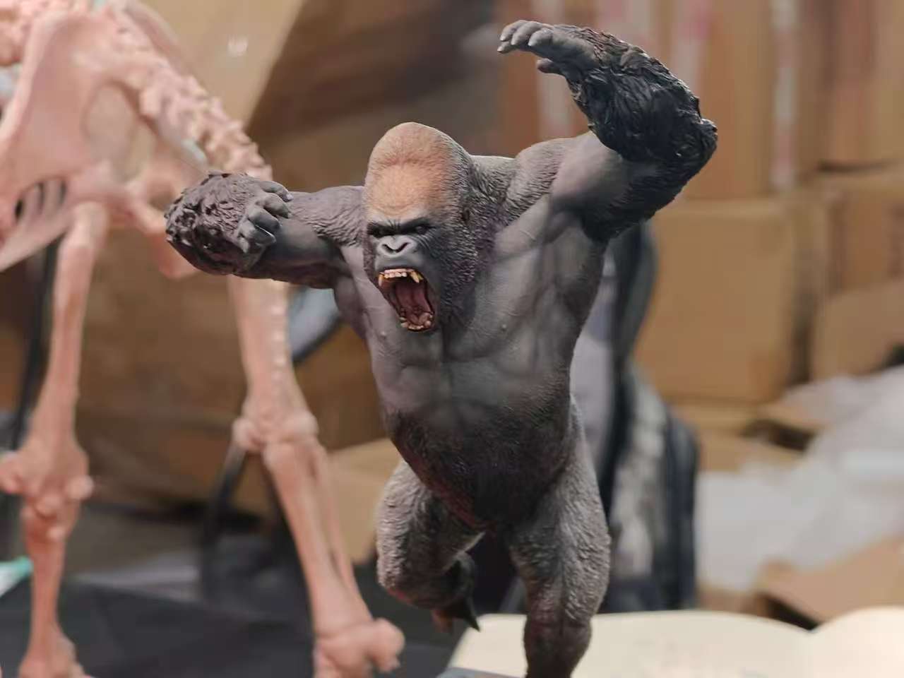 APHID STUDIO Western lowland gorilla Model