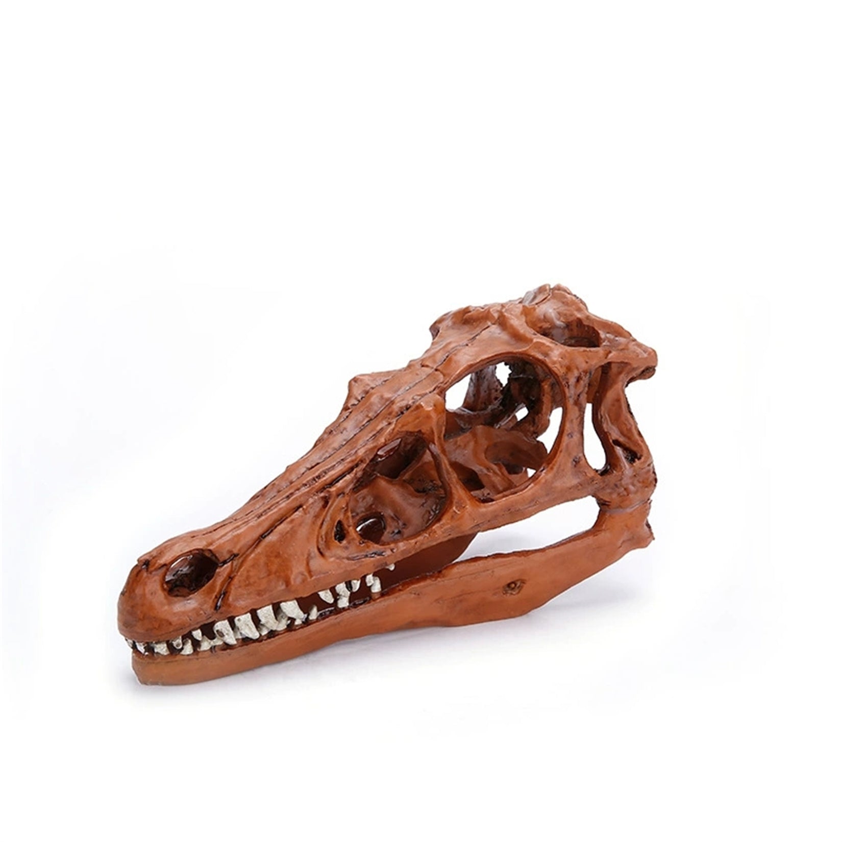 Schildkröten-Serie Tiermodell 