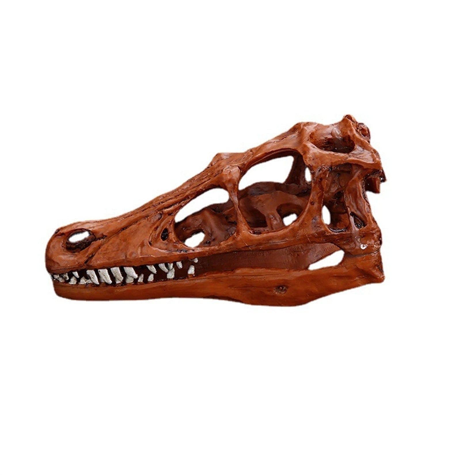 Schildkröten-Serie Tiermodell 