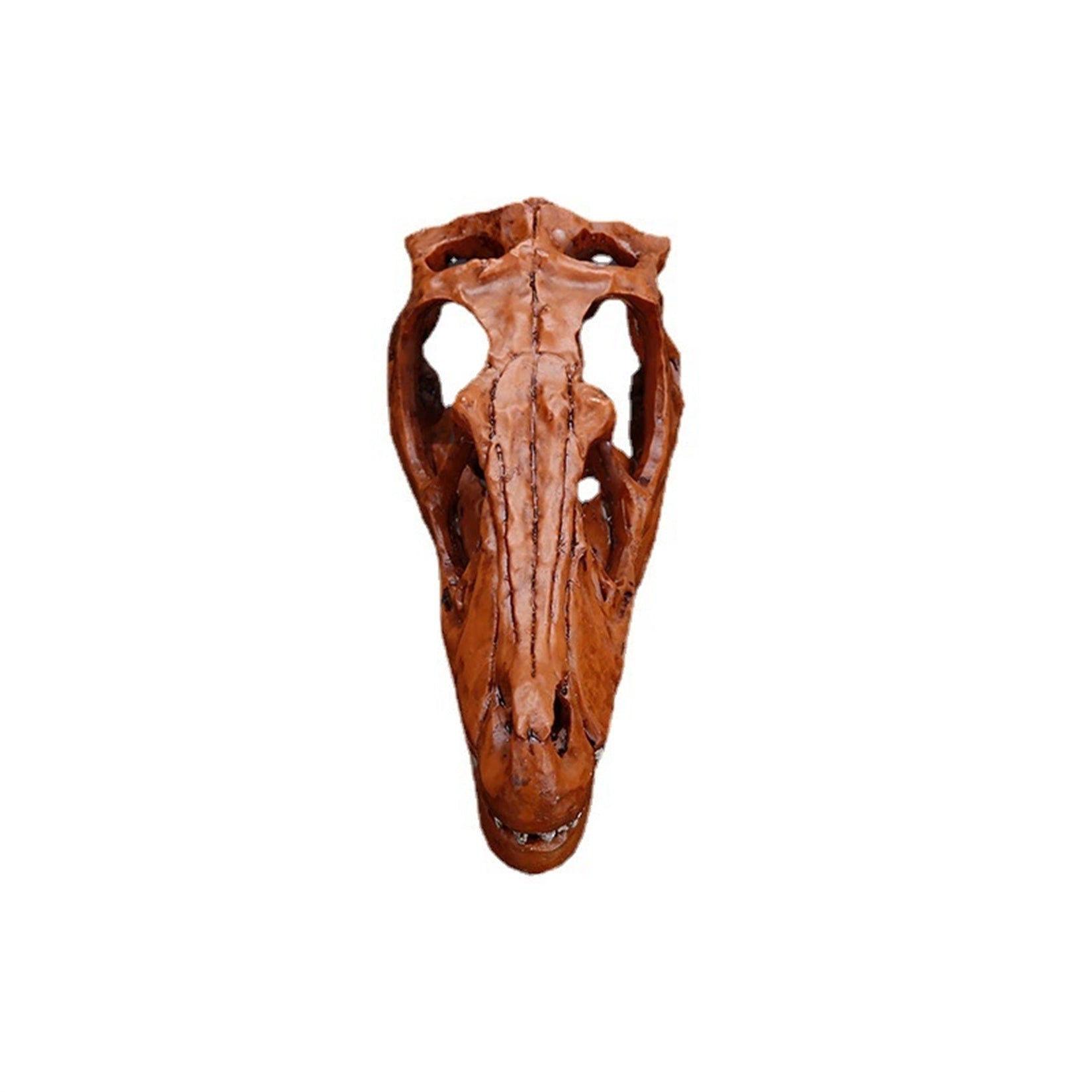 Schildkröten-Serie Tiermodell 