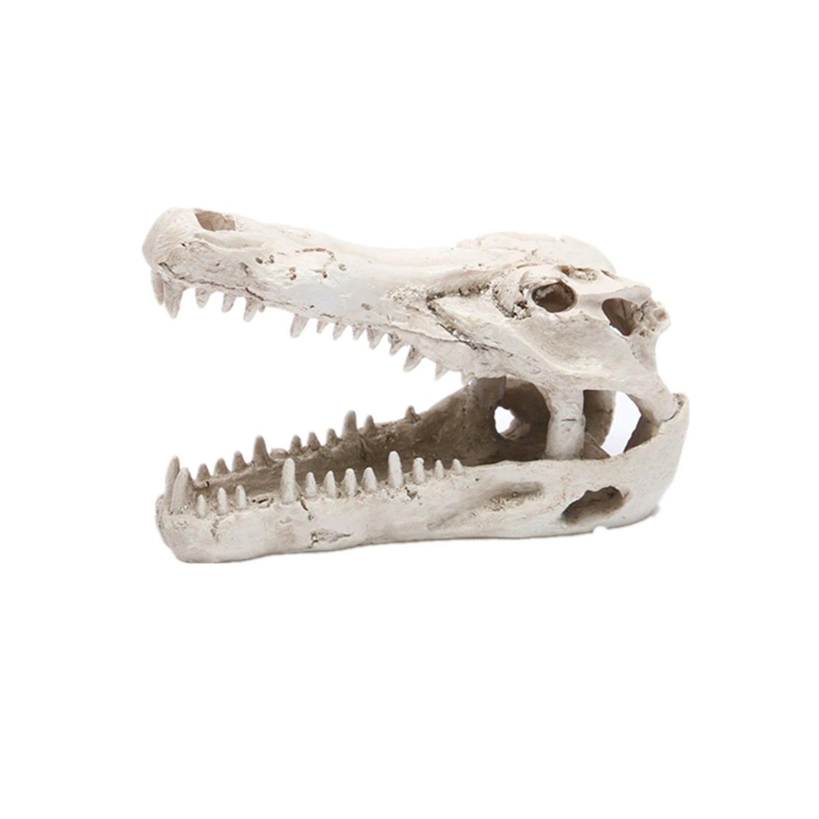 Schildkröten-Serie Tiermodell 