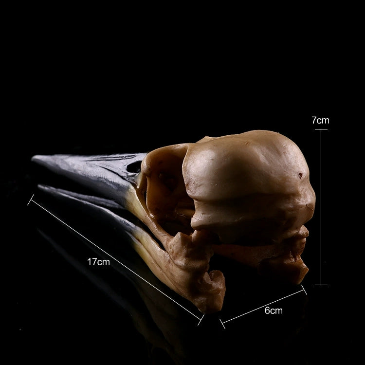 Schildkröten-Serie Tiermodell 
