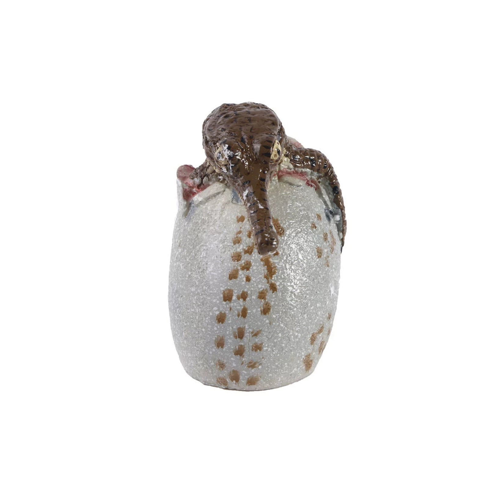 Schildkröten-Serie Tiermodell 