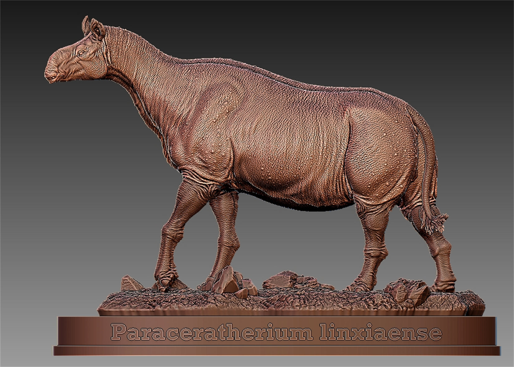PASSION CHARGER Paraceratherium Linxiaense Model