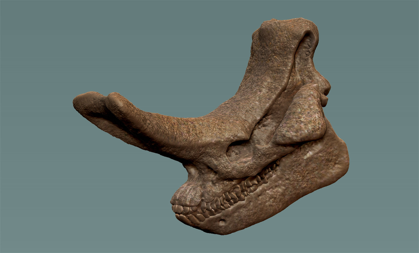 PASSION CHARGER Embolotherium Model