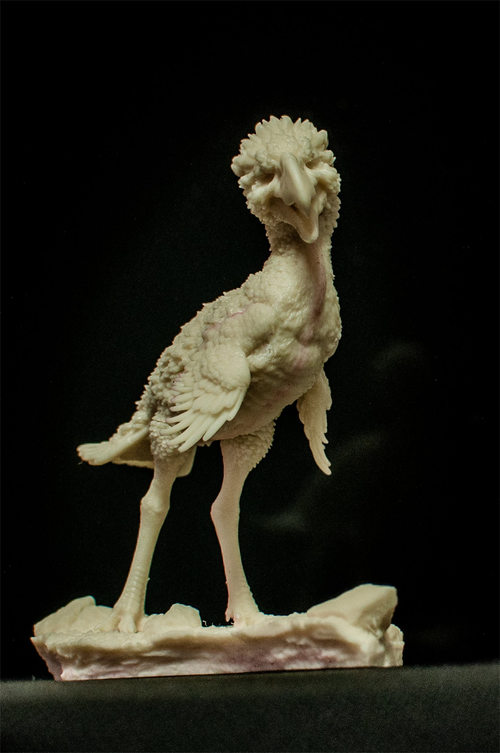 PASSION CHARGER Phorusrhacos longissimus Model