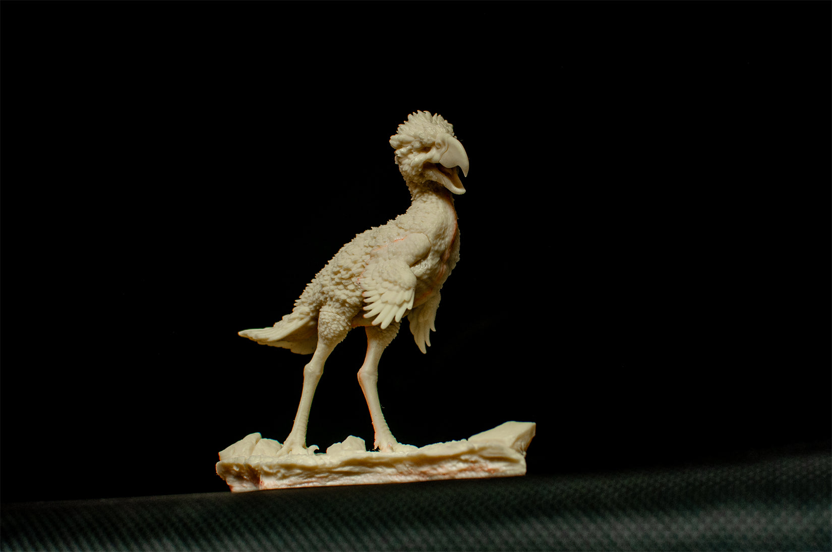 PASSION CHARGER Phorusrhacos longissimus Model