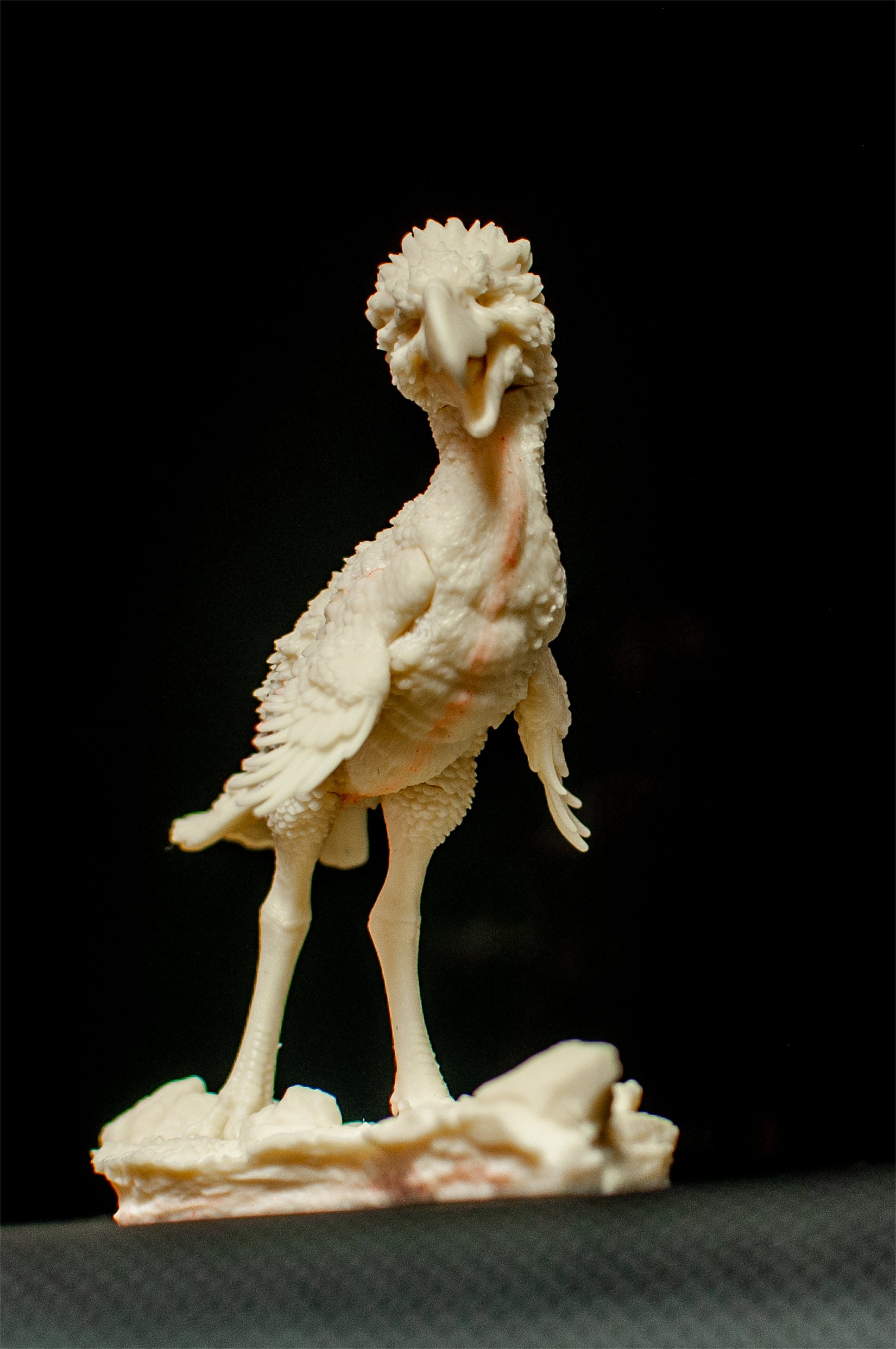 PASSION CHARGER Phorusrhacos longissimus Model