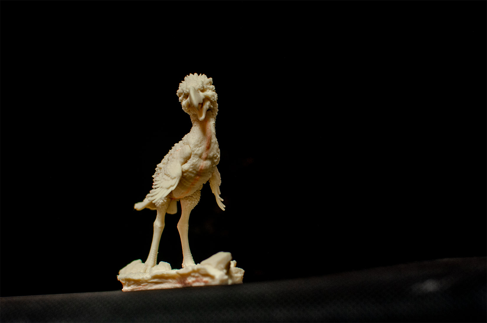 PASSION CHARGER Phorusrhacos longissimus Model