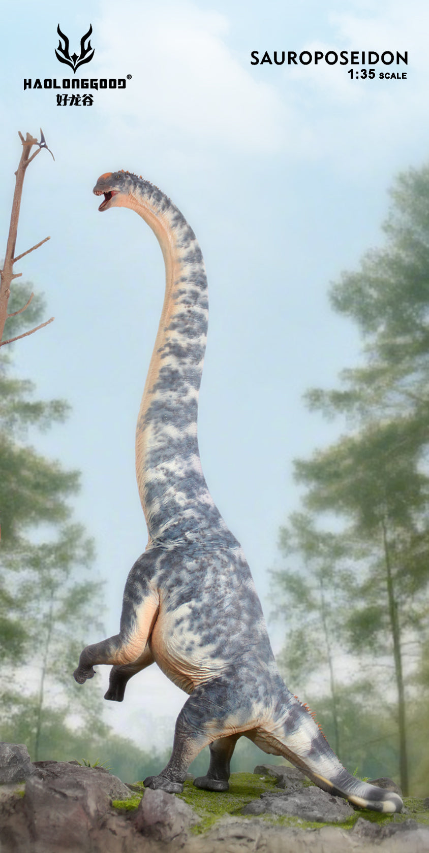 HAOLONGGOOD 1:35 Scale Sauroposeidon Model