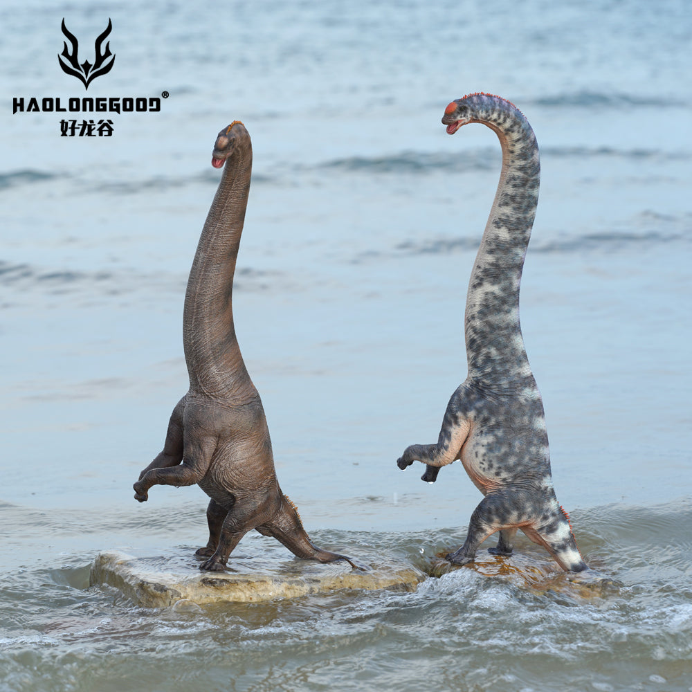 HAOLONGGOOD 1:35 Scale Sauroposeidon Model
