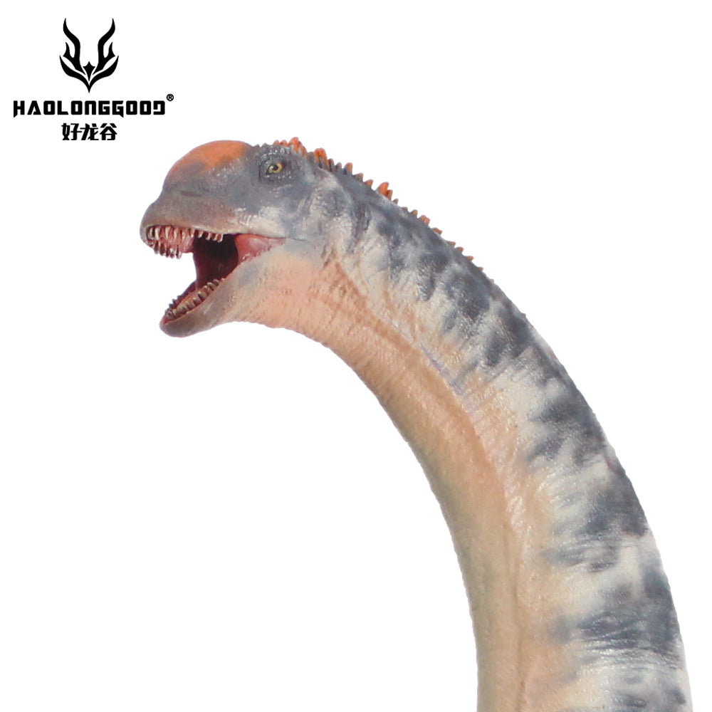 HAOLONGGOOD 1:35 Scale Sauroposeidon Model
