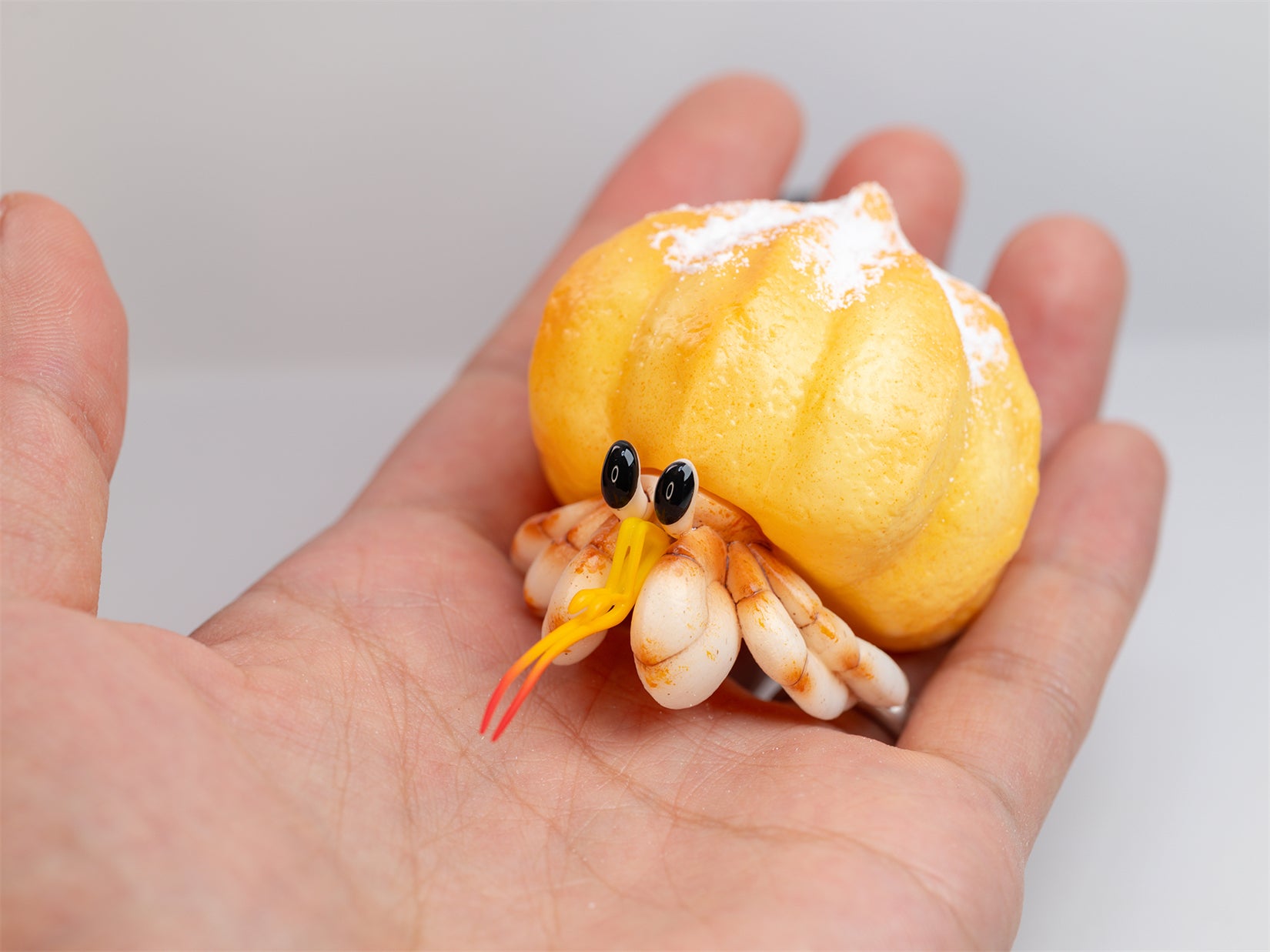 Hermit Crabs Model Paguroidea Figure