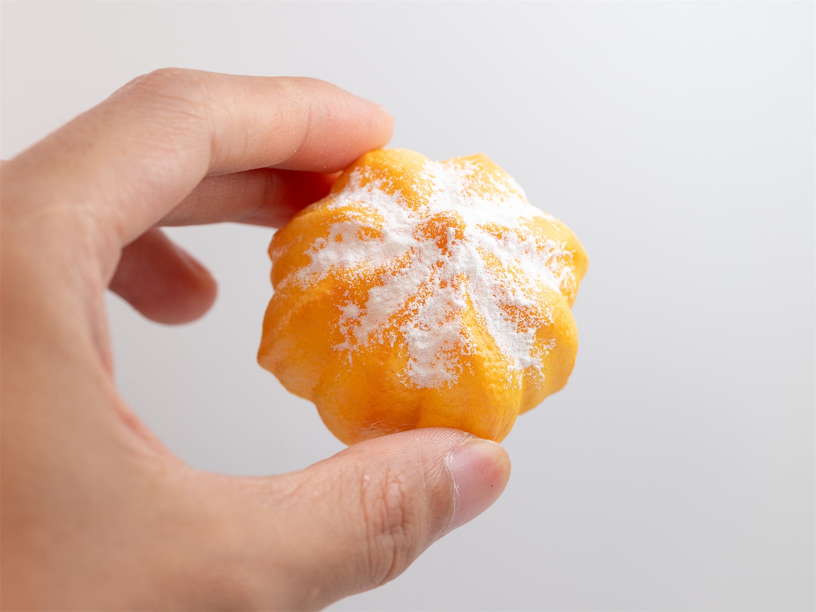 Hermit Crabs Model Paguroidea Figure